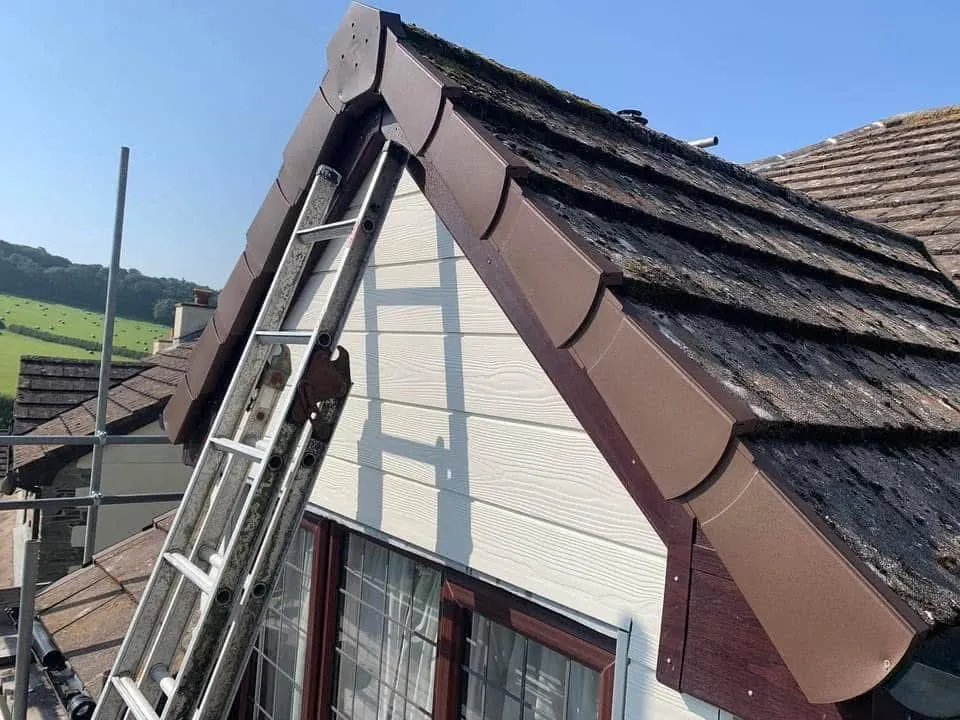 New fascias, bargeboards and guttering in Kingsbridge
