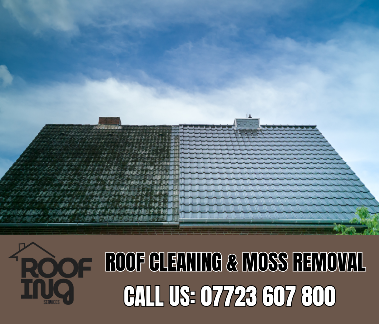 Roof Cleaning in Kingsbridge
